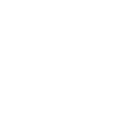 Ametra06